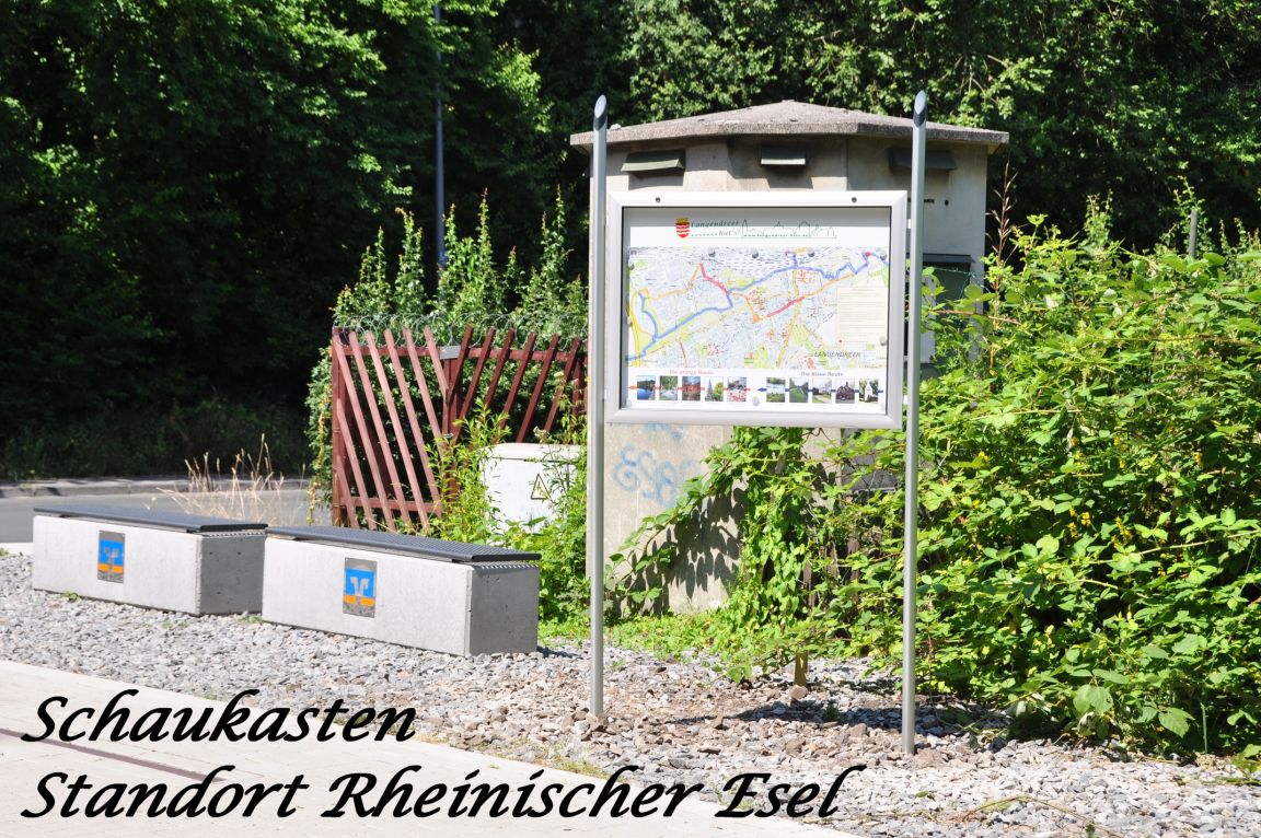 tl_files/standard/bilder/Aktivitaeten/Rheinischer Esel/Schaukasten/Diashow Esel/Rheinischer Esel 01.jpg