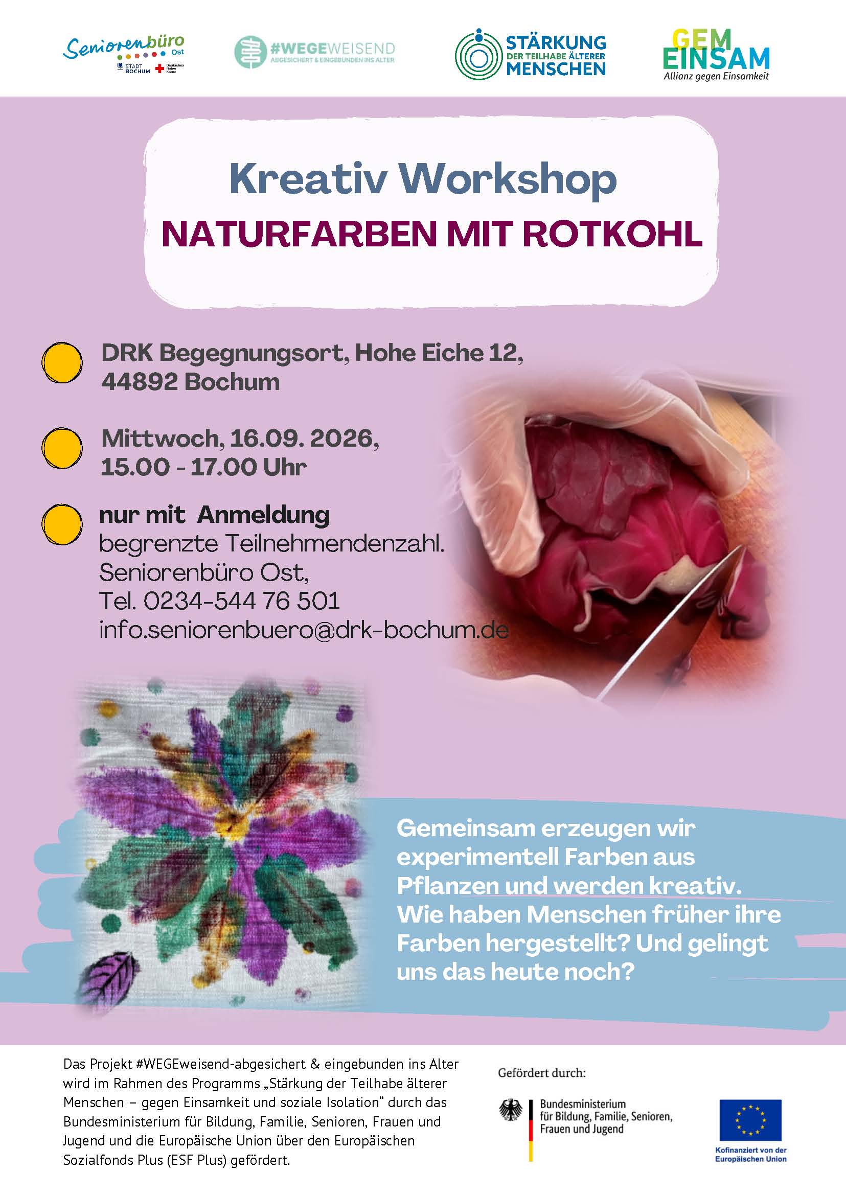 tl_files/standard/bilder/Veranstaltungen/2026/260916_Naturfarben mit Rotkohl.jpg