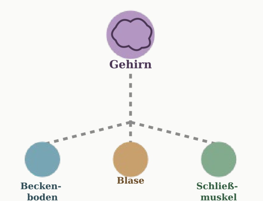 tl_files/standard/bilder/Veranstaltungen/2026/Inkoninenz.png